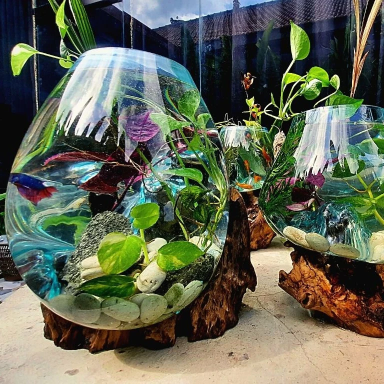 Glass Containers Flower Vases For Home Nordic Glass Vase Terrarium Transparent Adults With Live Fish Bottle Glass Vase