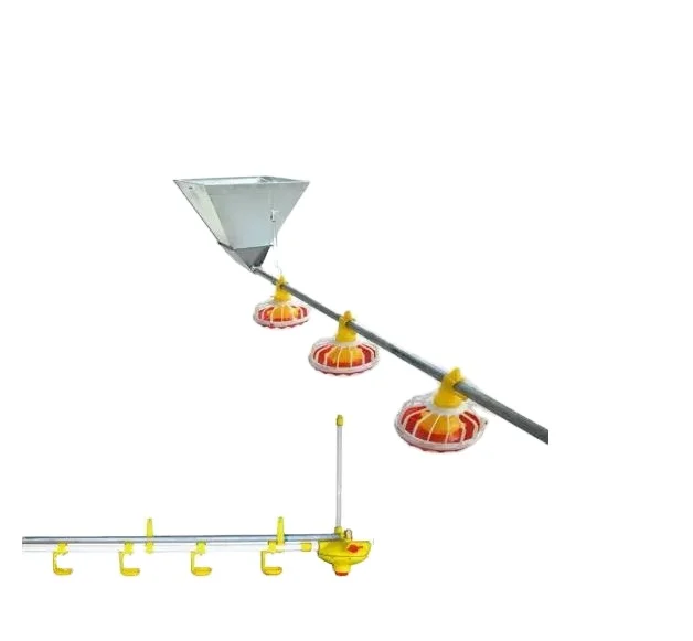 Automatic Poultry Farm Equipment Supplier Plastic Material Chicken Feeder and Drinker