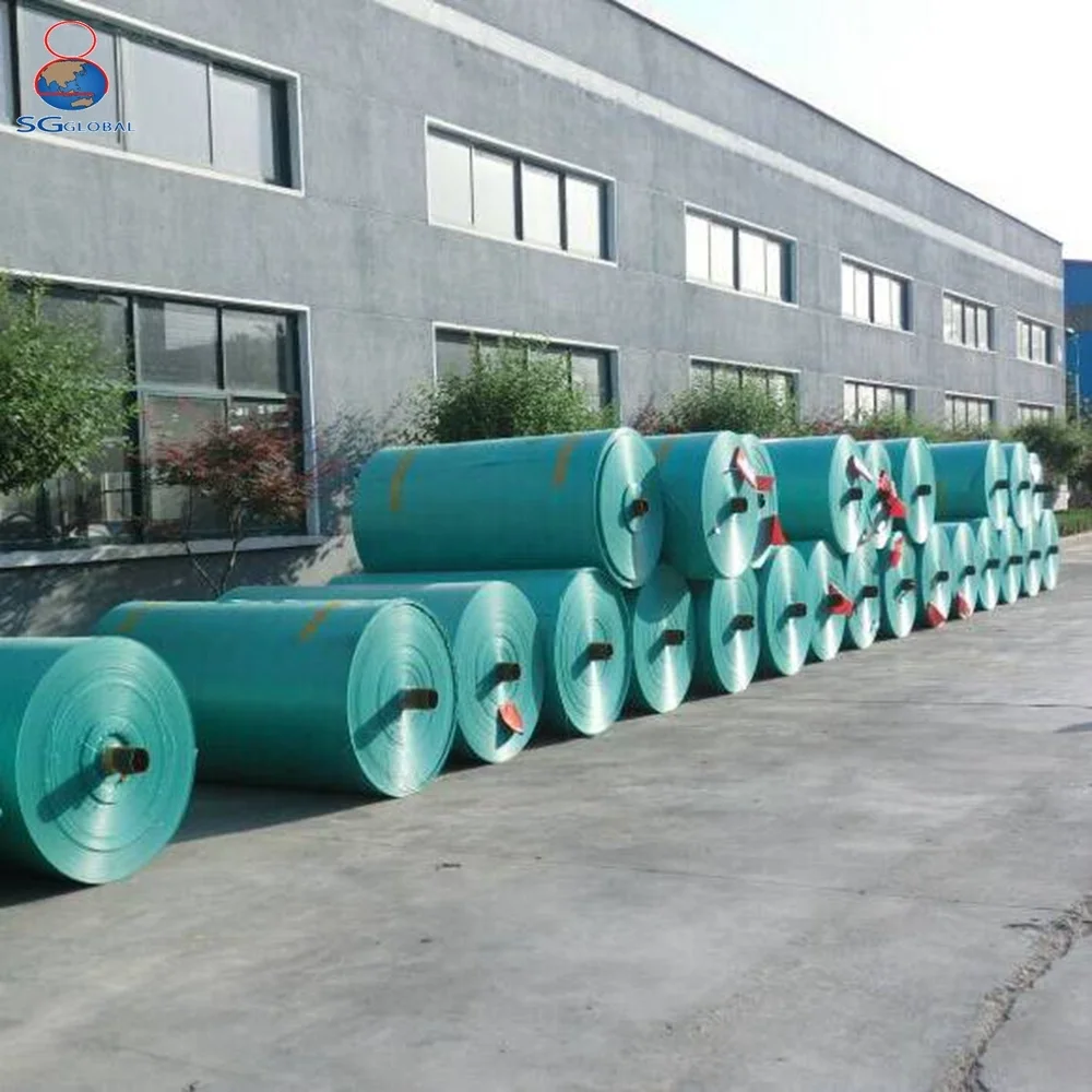 Tarpaulin Plain Truck Tarp Woven Outdoor Supplier Roll Heavy Duty Plastic PE Pvc Tarpaulin Fabric China Coating Waterproof Tarp