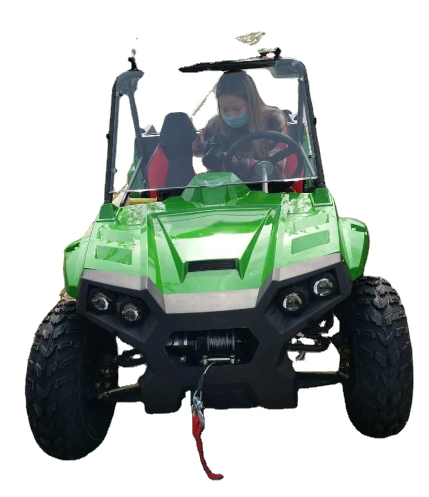 Chinese Good Quality 60V/72V 1800W 2200W Electric Mini Buggy UTV Utv Side By Sides UTV