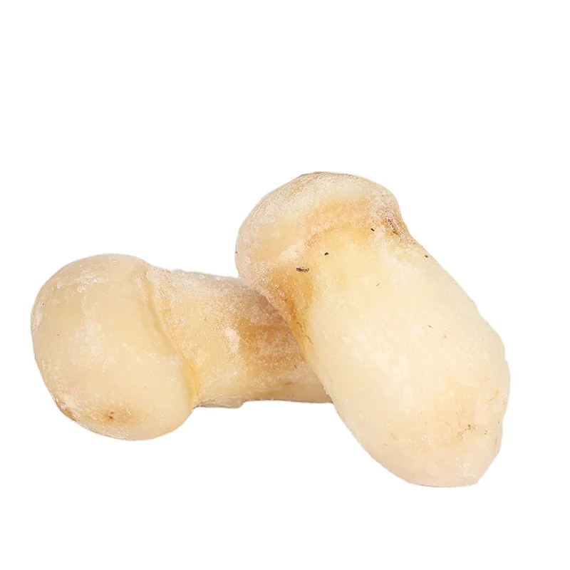 
Popular Bulk Tricholoma Matsutake Shiitake Mushroom Dried Matsutake Price 