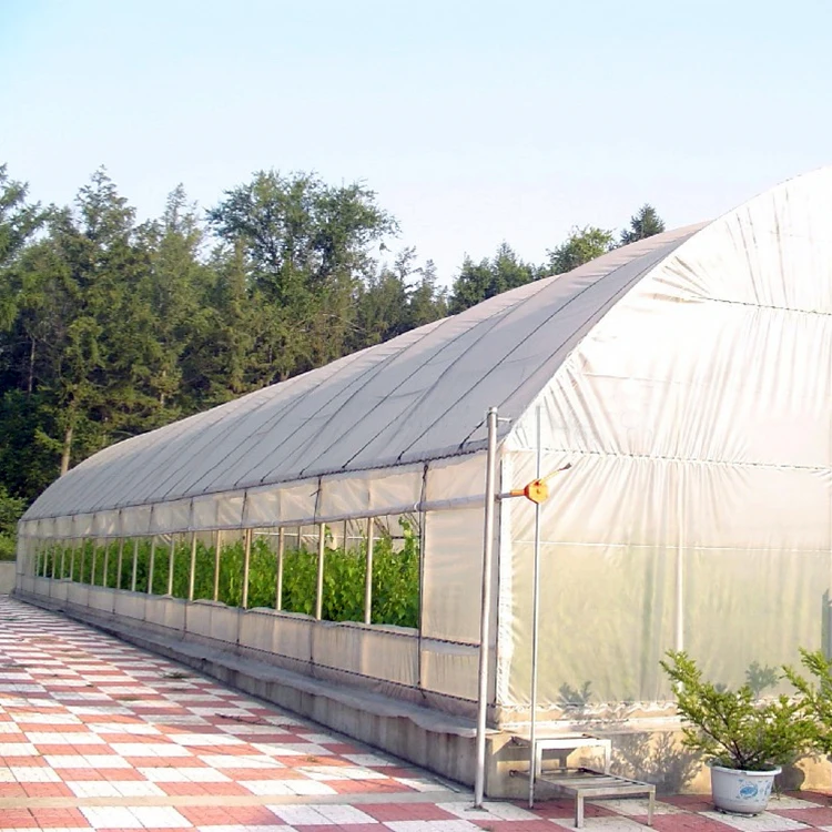 backyard green house polycarbonate plastic film small tunnel hoops serre agricole strawberry greenhouse kits