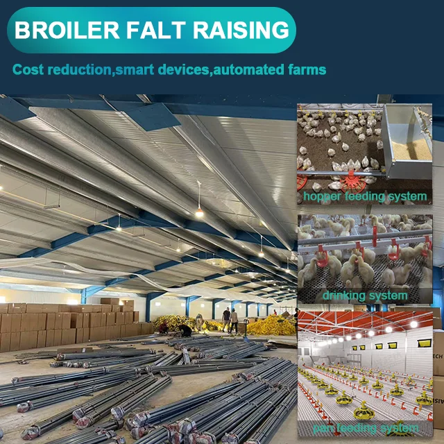 Modern Full-Automatic Chicken Broiler Floor Flat Raising Equipment Poultry Farming Used Condition Chicken Feed Feeding Equipment