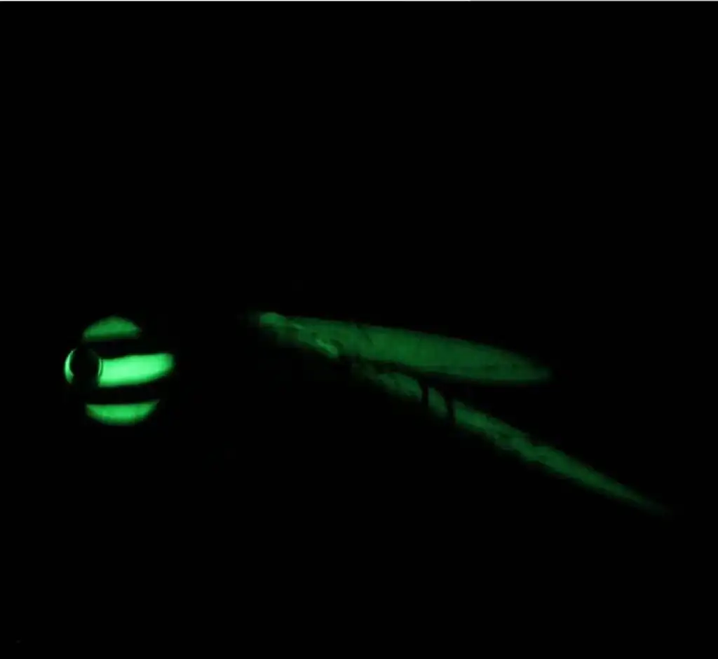 Luminous Japan Fishing Iron Plate Bait 40g/60g/80g/100g /120g/150g/180g/200g Sea Fishing Lead Head Silicone Skirt Road Sub-Bait