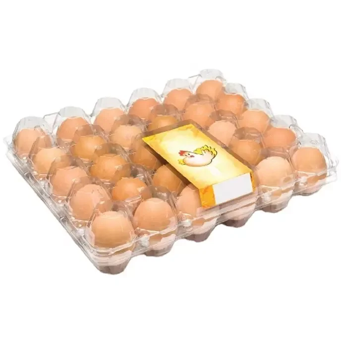 China Manufacturer Customized Size Plastic Egg Tray PET Tray for Storage
