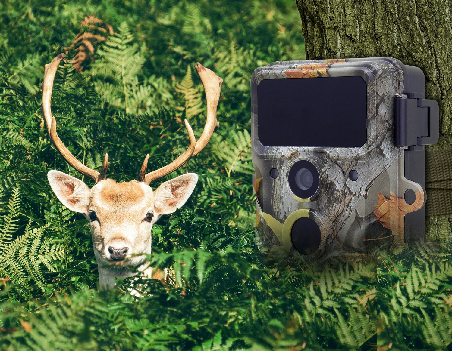 RD3019PRO  4K Resolution Trail Camera 1080p 30mp 16 Mega Waterproof Wildlife Hunting 4K Wifi Control Camera