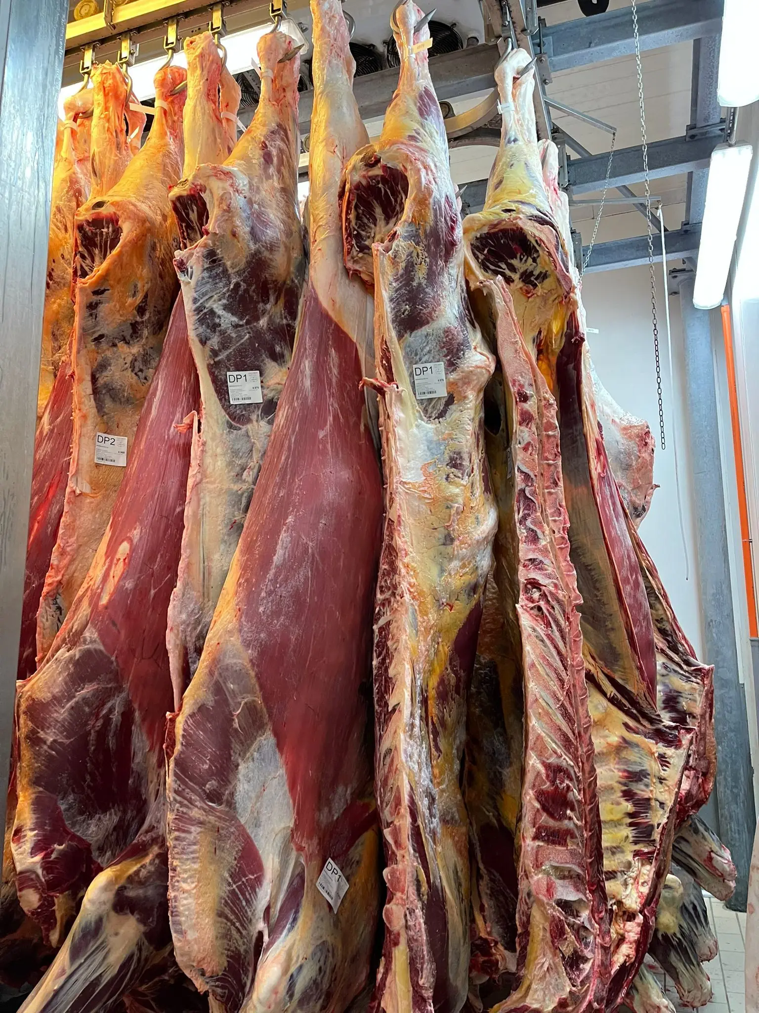 High Quality Organic Natural Beef Meat Cow Carcass( Frame) In Vacuum Pack Beef Meat