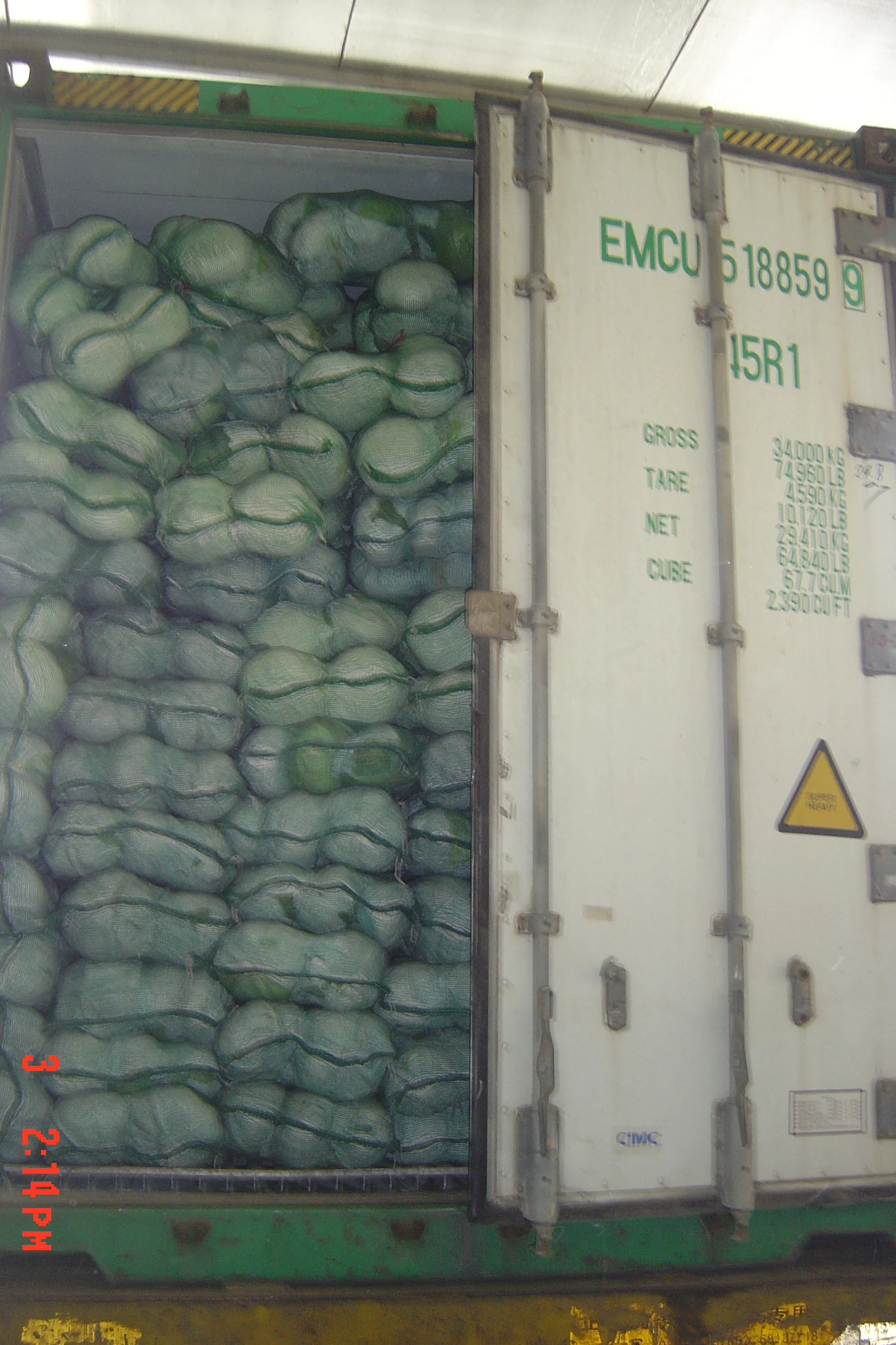 
small round cabbage from China 