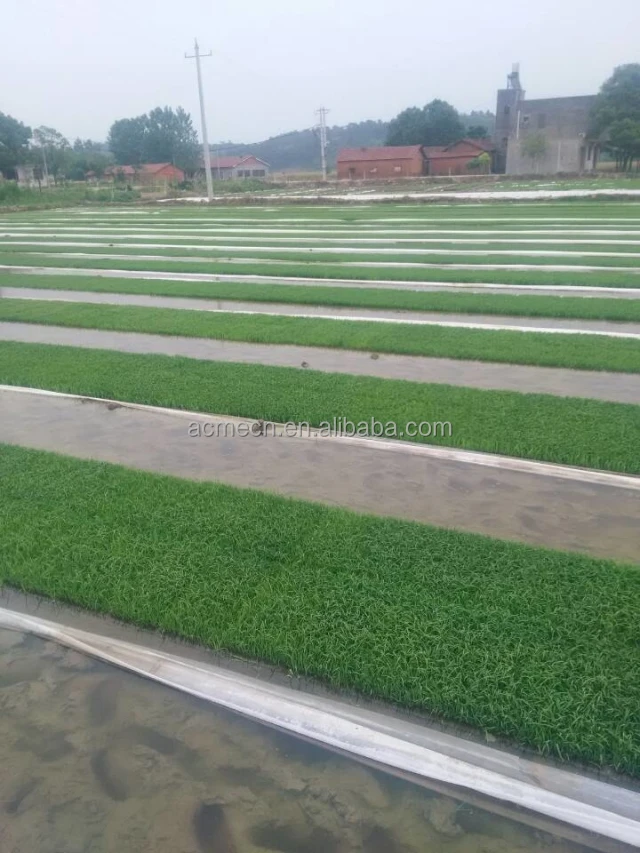 ALD-4B rice seeder  43.jpg