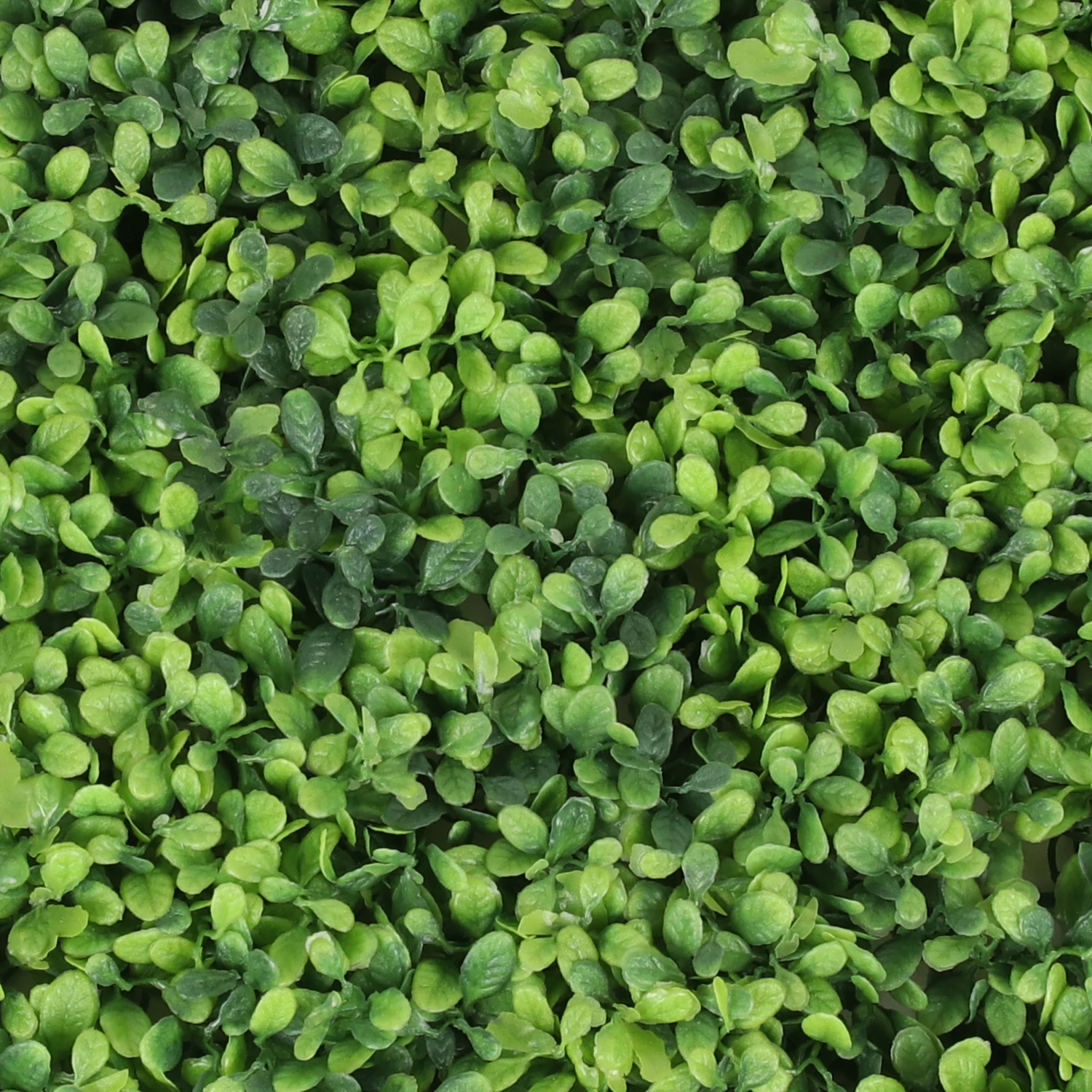 P13-3 Customized Plastic Faux Boxwood Hedge Artificial Green Grass Plant Wall for Wedding Backdrop Garden Wall Decor