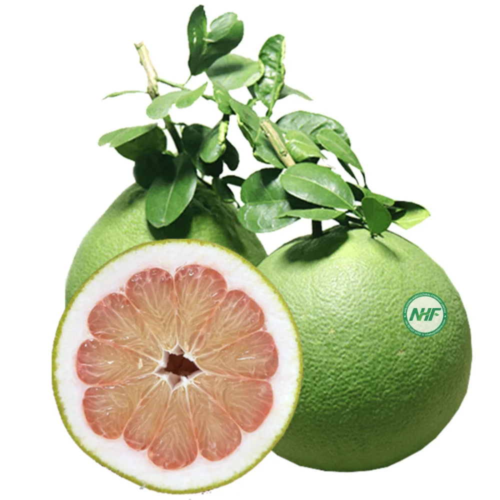 VIETNAMESE SUPPLIER OF GREEN SKIN POMELO FRESH GRAPEFRUITS IN BULK GOOD PRICES FOR EXPORT WHOLESALE