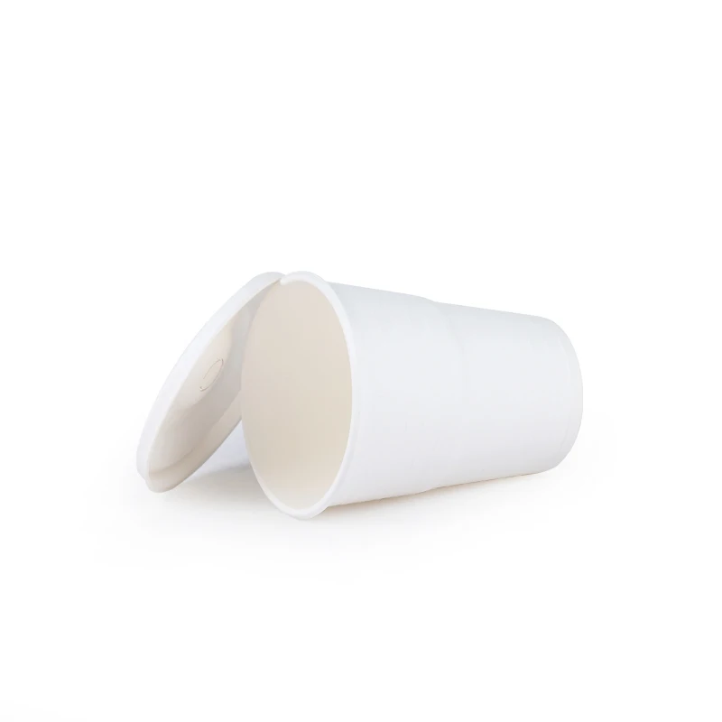Factory Manufacture Various Disposable Cups With Lids Biodegradable Coffee Cup