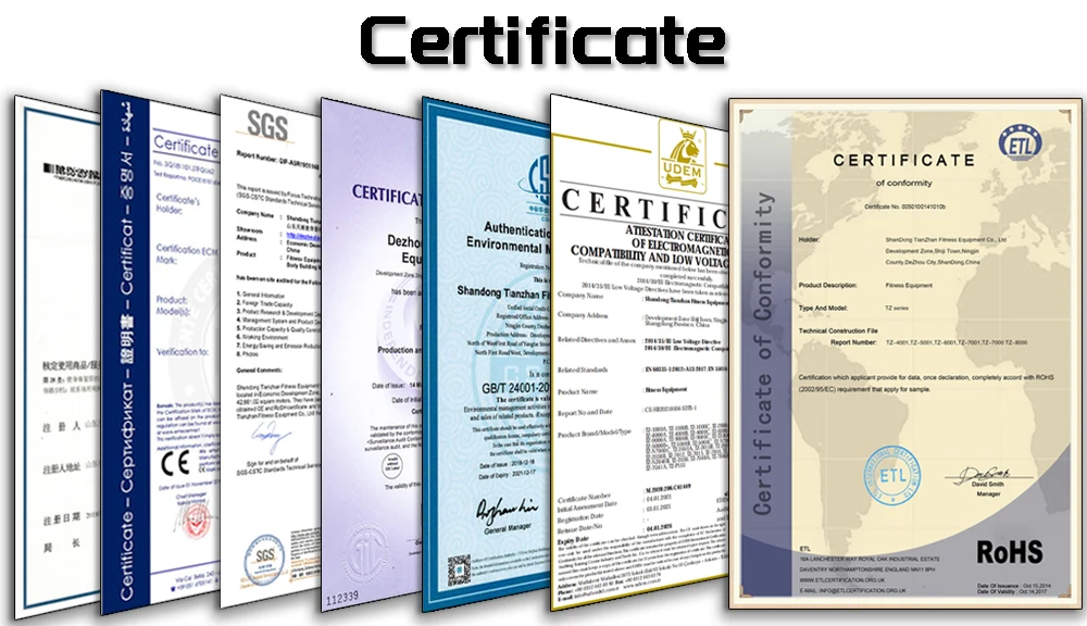 TZ Fitness equipment other Sports Entertainment Products factory gym machine Rear Kick