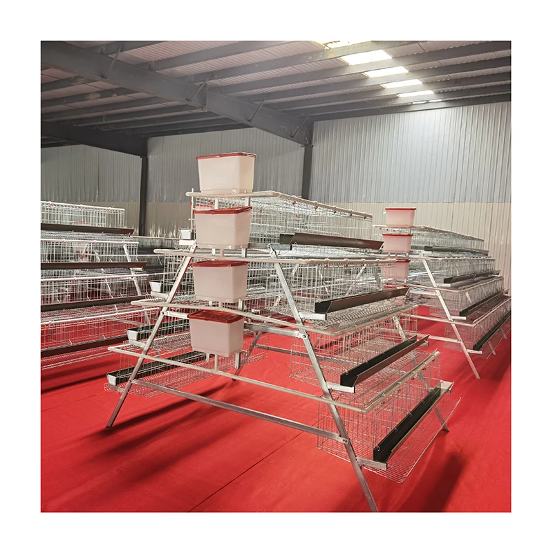 Modern Chicken Farm Design for Automatic Poultry Equipment/H type layer animal bird cage reptile glass decoration wedding