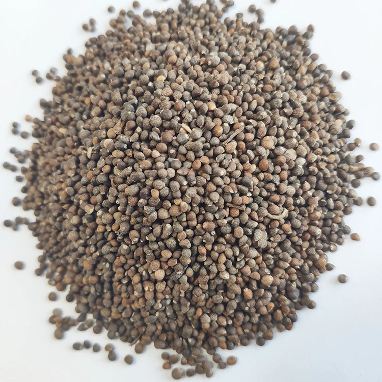Hot Sale Chinese Hulled Perilla Seeds