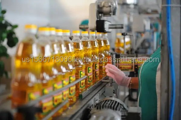 20L Refined Sunflower Oil Jerry Cans High Quality Sunflower Oil in Convenient Packaging