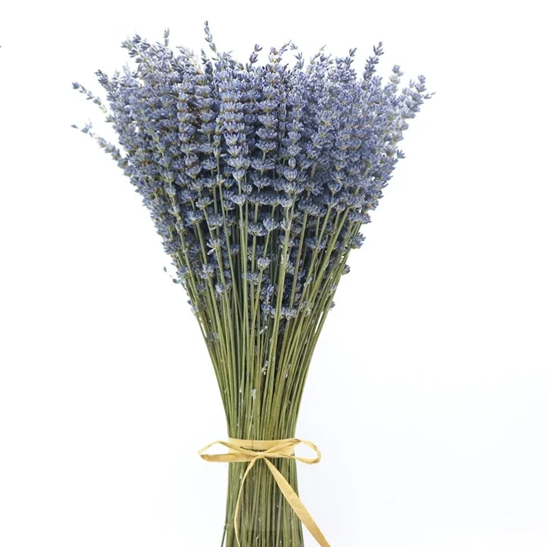 Christmas Natural Preserved Bouquet Wholesale The 100% True Dried Lavender Bunch Flowers With Good Smell