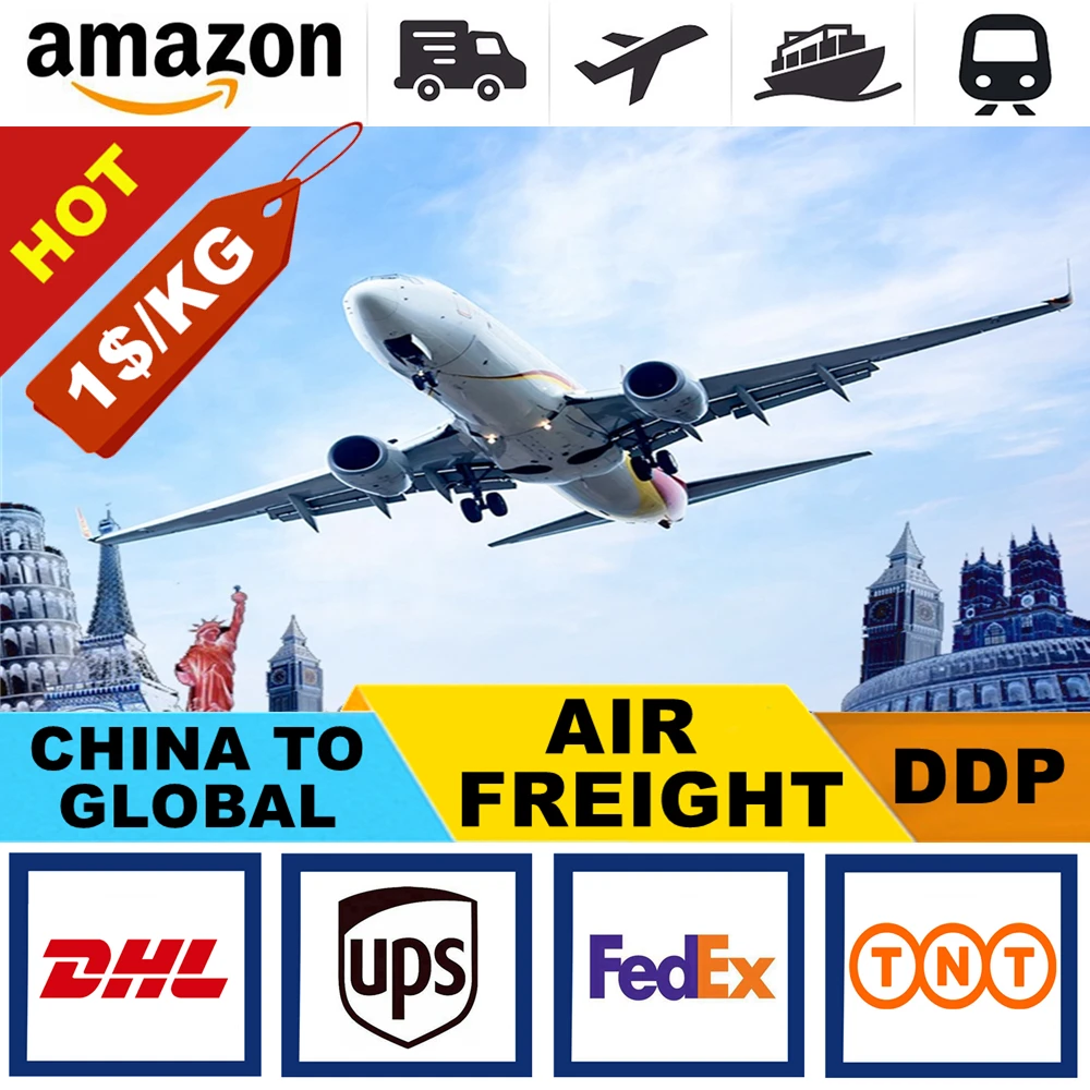 Professional Shipping agent From China To UK USA CA Swaziland Somaliland Tanzania Tunisia Zambia Chad Air Cargo Service