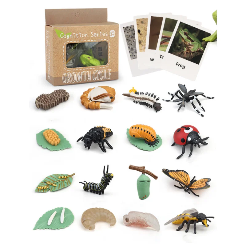 Montessori Life Cycle Learning & Education Toys Plastic Insect Ladybug Monarch Butterfly and Tadpole-to-Frog Kit for Kids