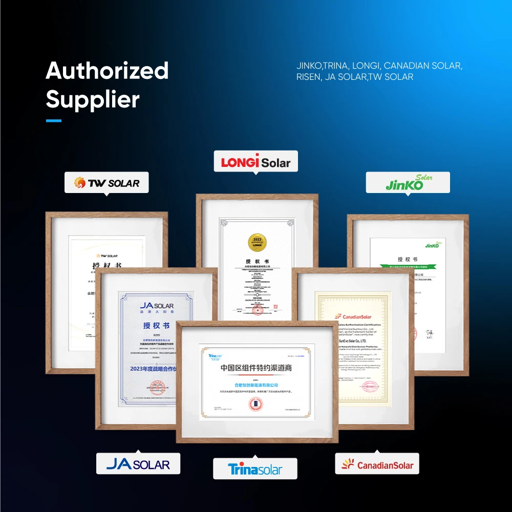 Trina 500W-700W Vertex S Solar Panels 560W 570W 580W Bifacial Dual Glass PV Module Full Black In Jiangsu