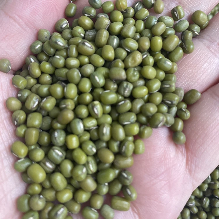 Оптовая продажа, безопасные высококачественные зеленые органические раздельные бобы мунг