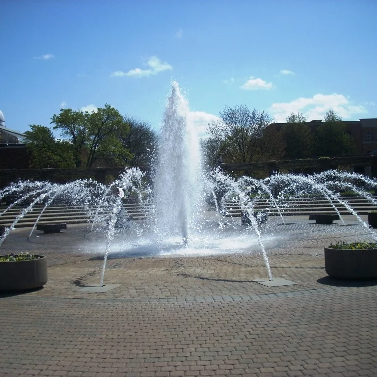 Garden Decoration Water Fountain Dandelion Music Dancing Water Fountains With Lights