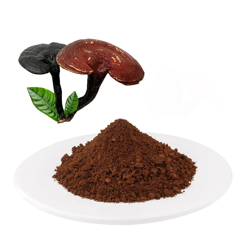Mocha coffee  Ganoderma Lucidum Instant Coffee Reishi Manufacture Price packets 5 Flavors  OEM Package