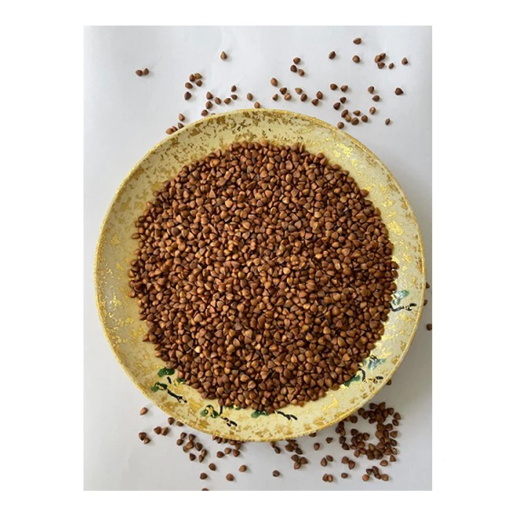 High Quality Wholesale Health Grains Organic Roasted Buckwheat Kernel
