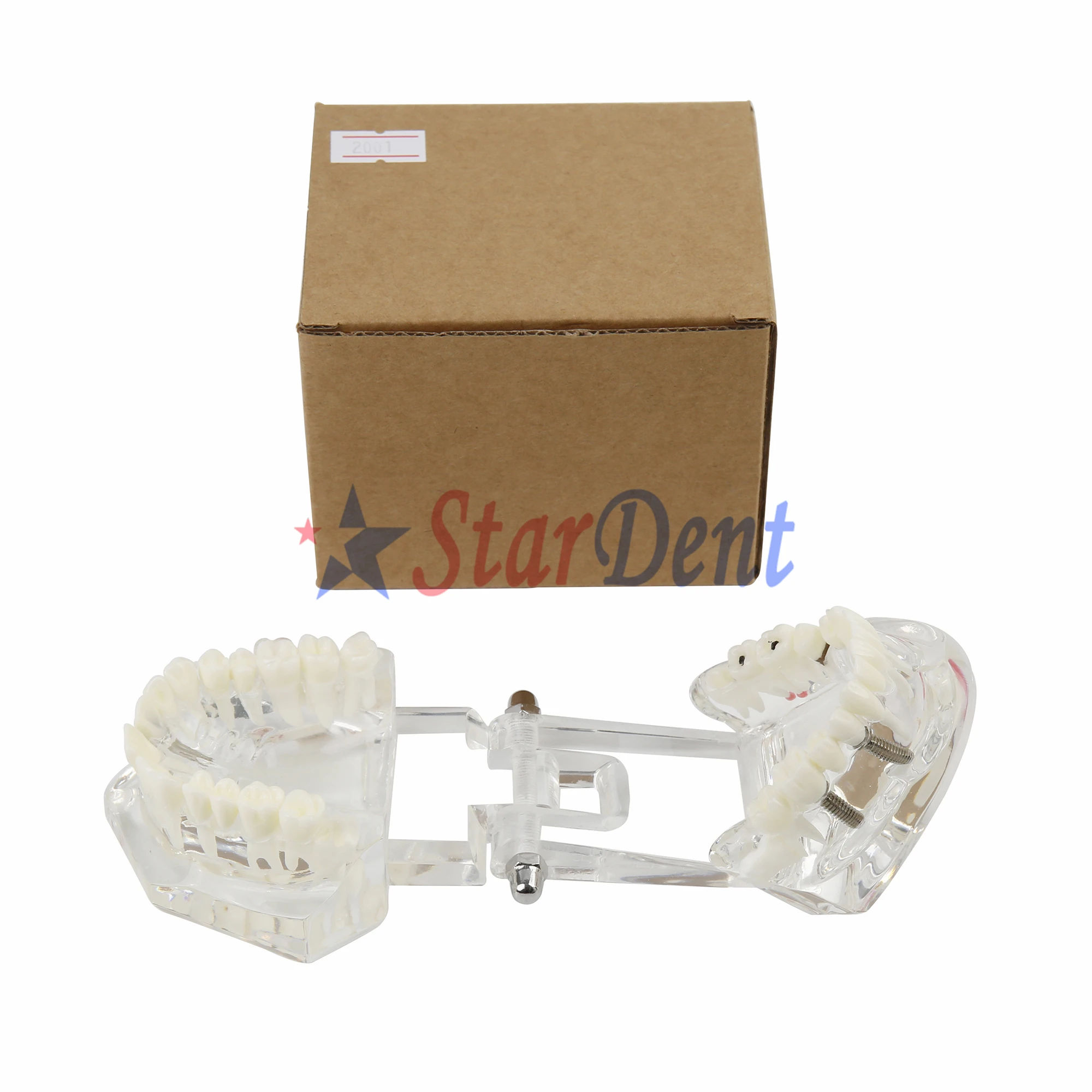 Зубные зубы модель имплантата для зубного