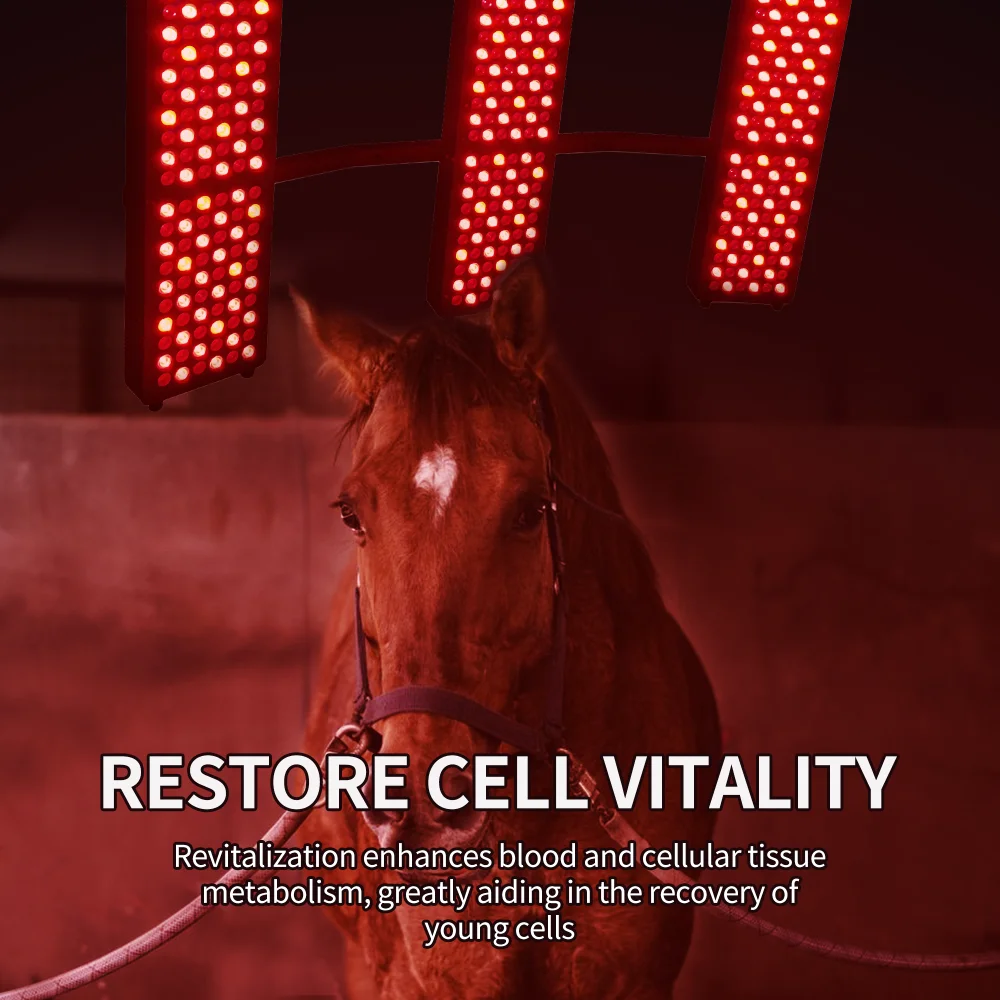 Stable Horse Full Body Therapy Solarium Pony Light Therapy Red Infrared Horse Light Horse Solarium
