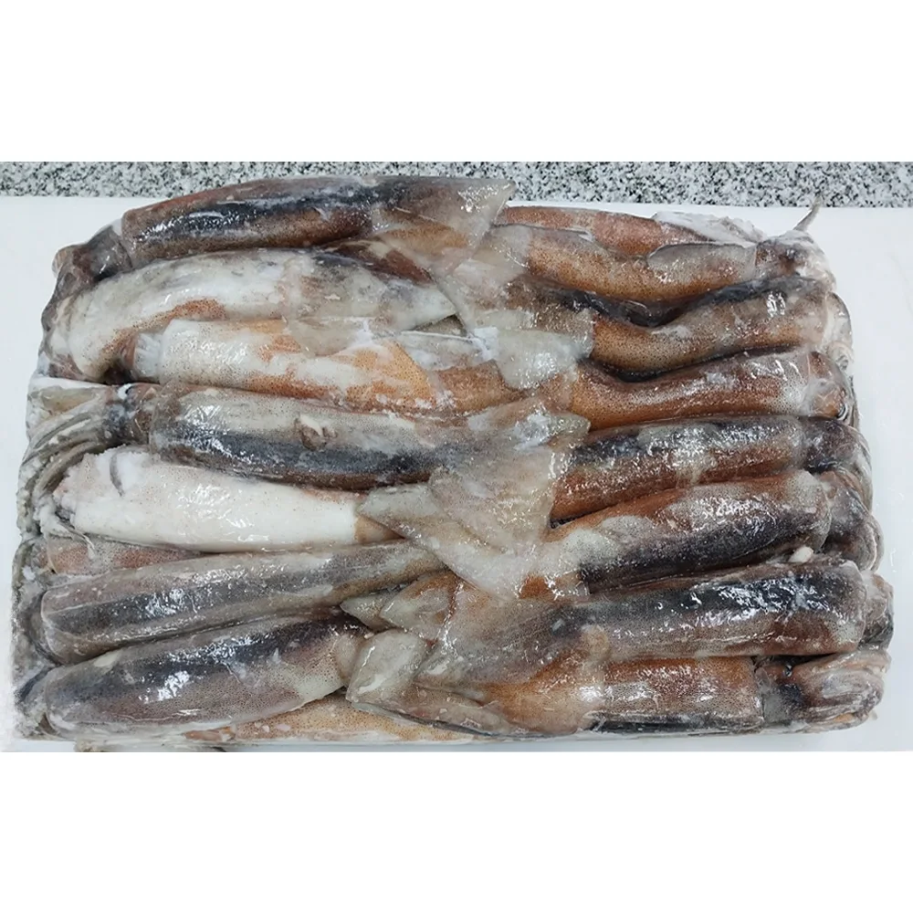 China export iqf illex squid argentina illex squid frozen illex squid w/r