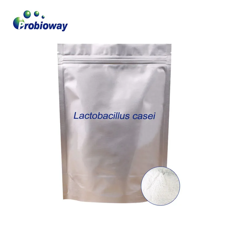 Lactobacillus casei порошок HH-LC39 20 млрд кое/Г лучший пробиотики сыпучий питания пользовательские дополнение пищевые
