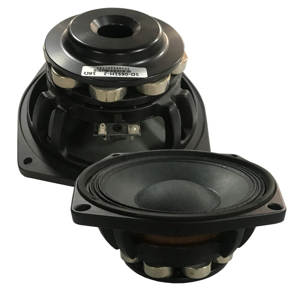 6.5 inch  51 mm voice coil  big power good design line array neo speaker