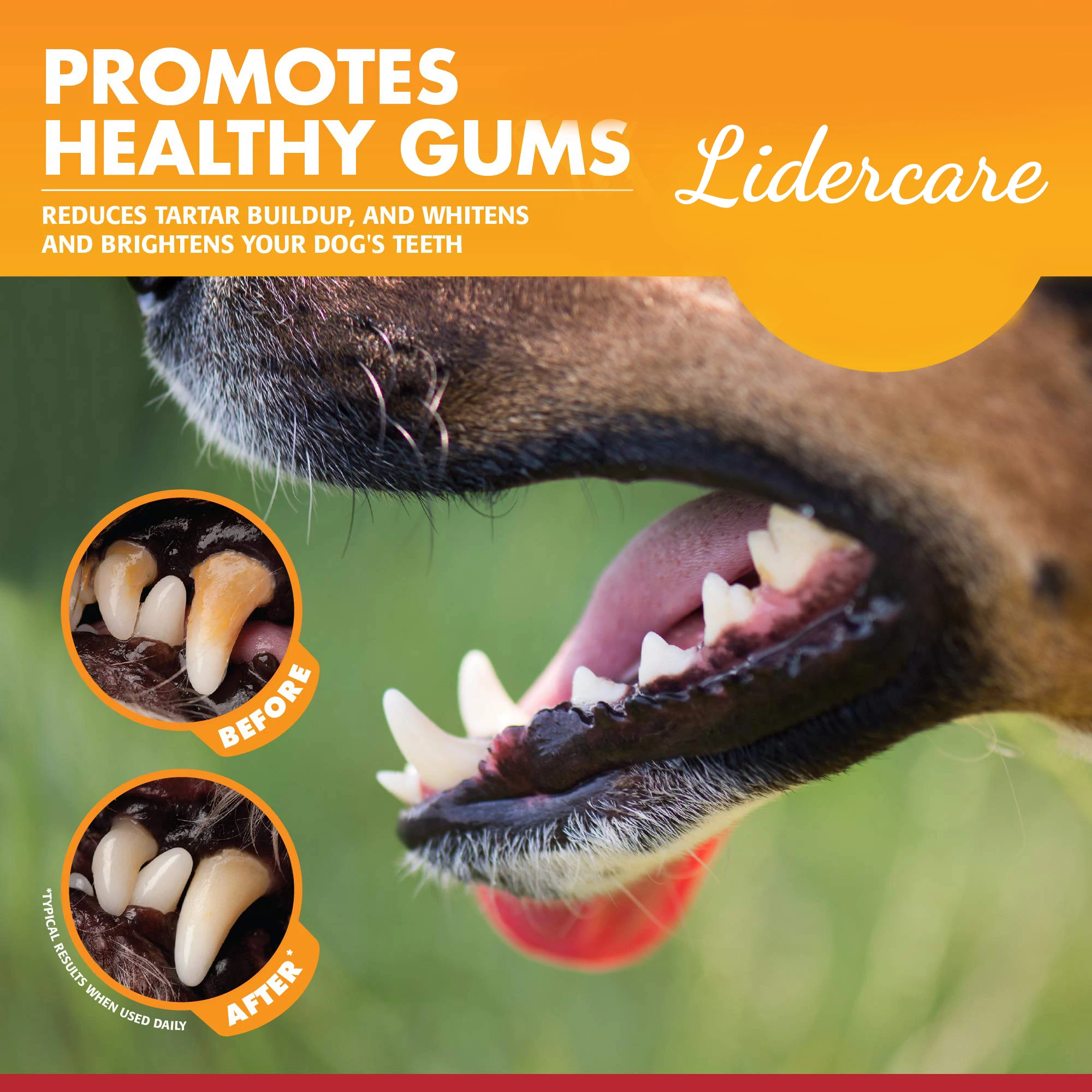 Professional Veterinary Recommendation Organic Dog Toothpaste For Pet Fresh Breath Remove Odors Pets Toothpaste