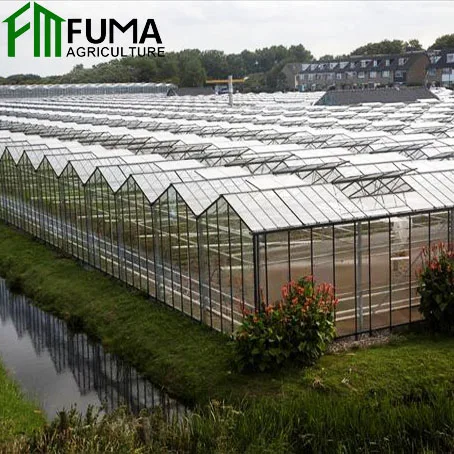 FM hot-dip galvanized steel structure glass agricultural green house net equipment used greenhouse cooling system for sale