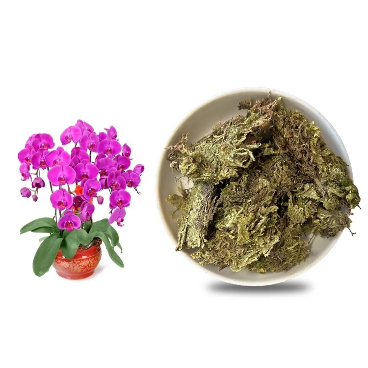 Butterfly Orchid Climbing Pet Dendrobium Plants Organic Fertilizer Nutritious Soil Dry Moss Orchid Cultivation Water Moss