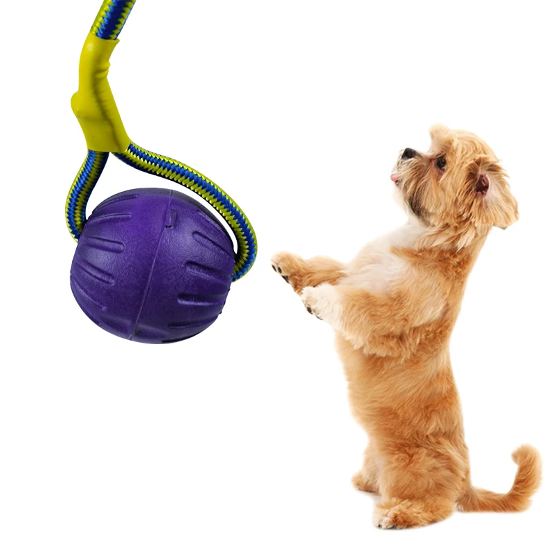 Wholesale EVA IQ Treat Interactive Pet Toy Pet Training Chew Ball With Rope
