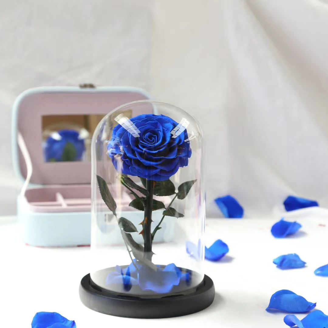 Preserved Rose Blue Valentines Day Gifts Real Rose in Glass Dome Roses for Her Birthday Gifts immortal flowers