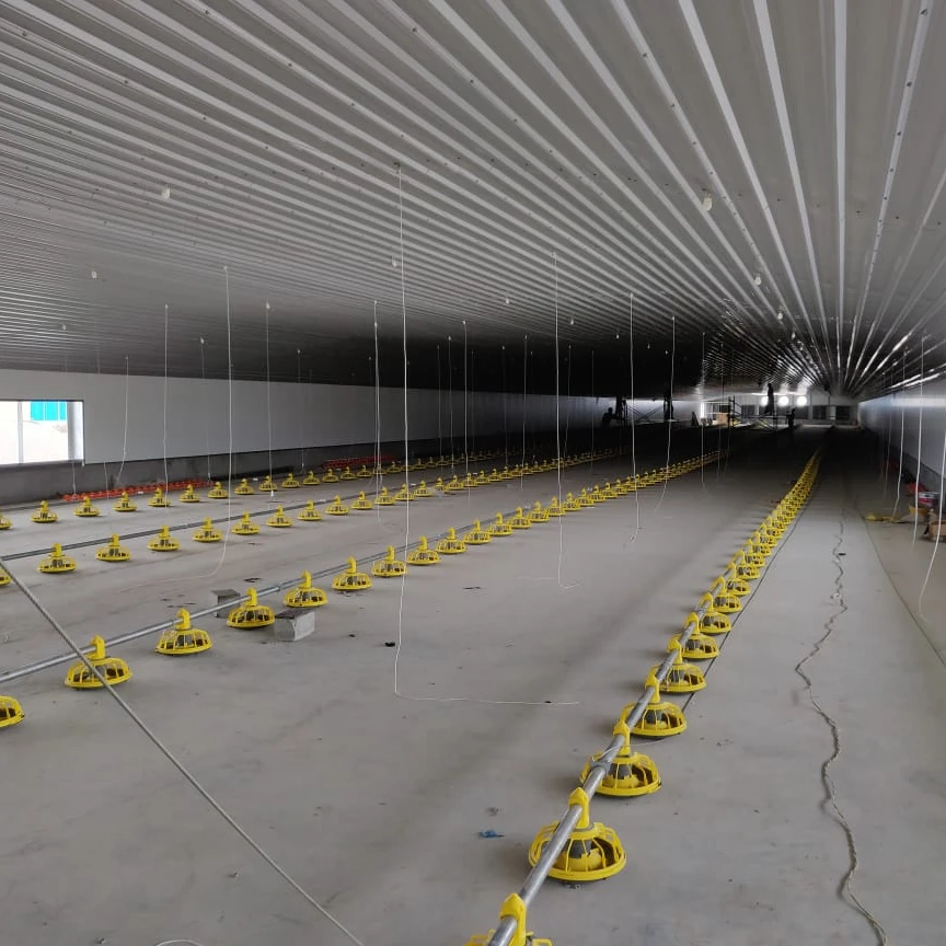 Prefab Light Steel Structure steel structure broiler/egg coop