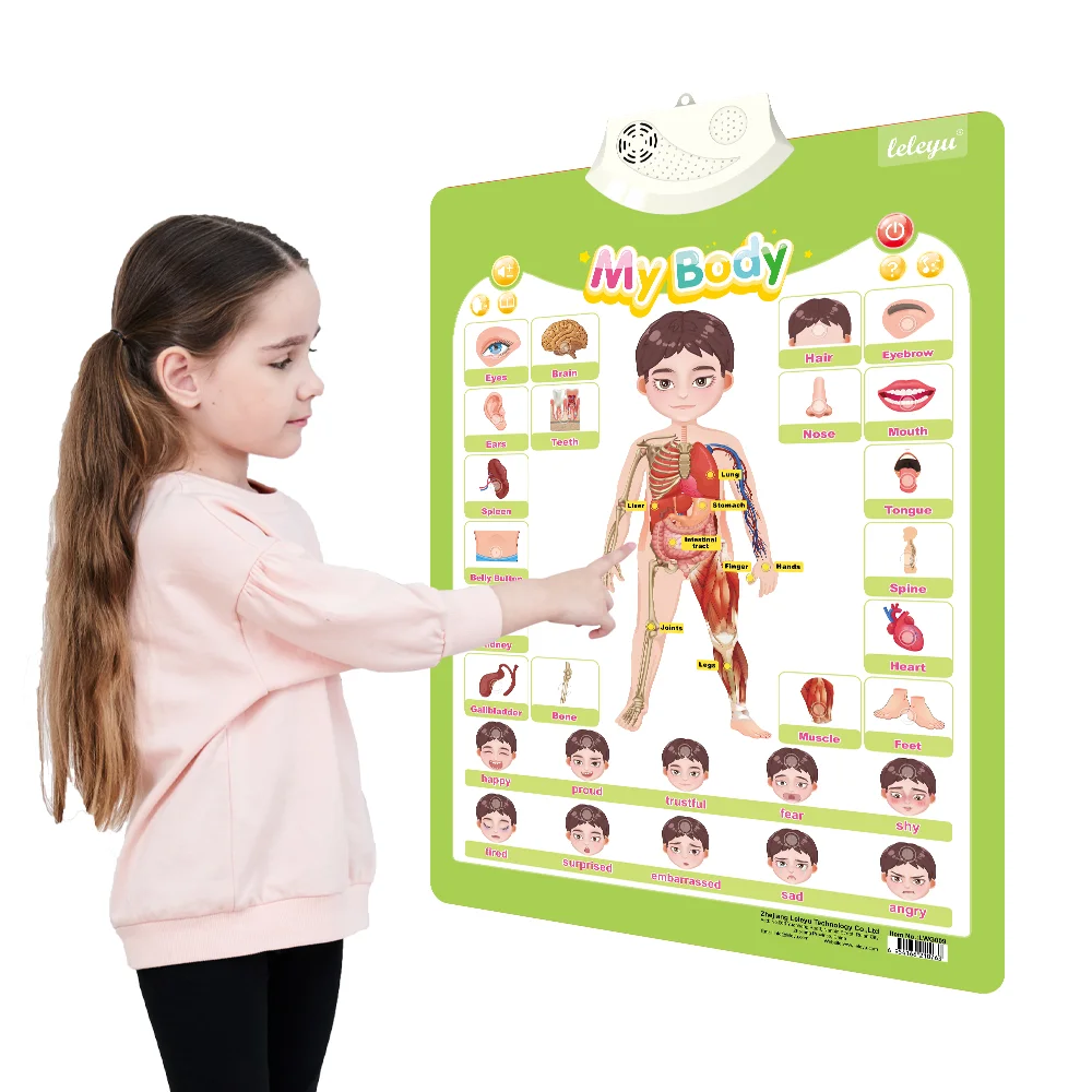 Factory Supply Learning Toy for Kids Body Part Chart Talking Poster to Learn Our Organs Game Music Sound BookToy