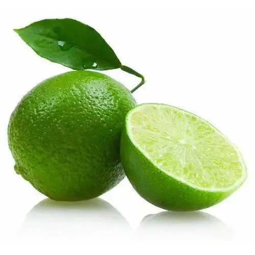 Fresh Seedless Lime - Cheap Price Organic Seedless Lime Healthy Fruit from Viet Nam