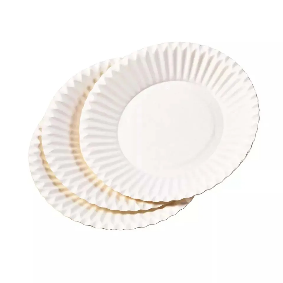 Plate Party Tray Cake Disposable & Bowl Food Egg Trays Dish Kraft Custom Sets Printing Paper Plates