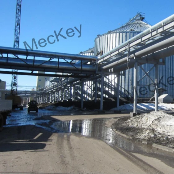 MK Latest Technical 98.5% Lysine Production Line Turnkey Plant Machinery