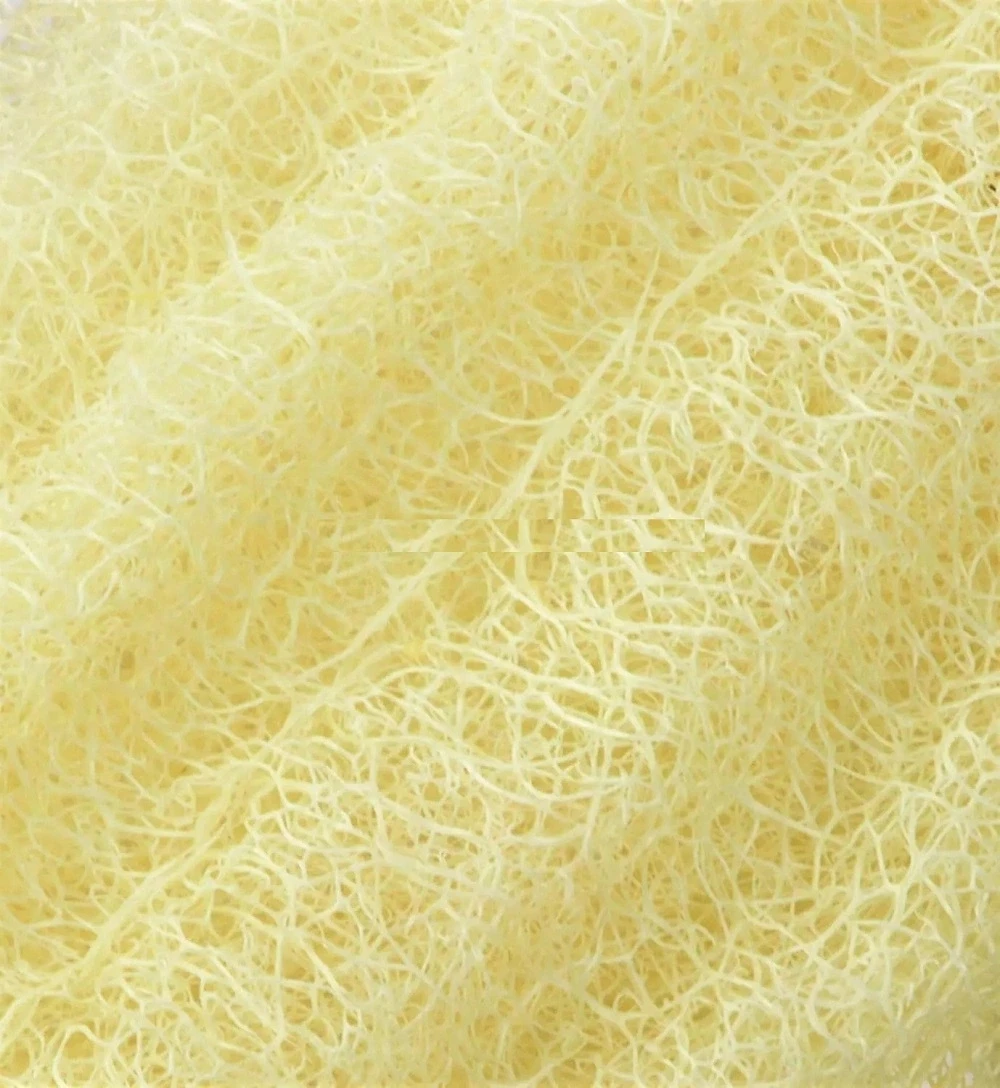 Natural Cleaning Loofah Facial Cleaning Makeup Remover Scrubber Sponge Pads