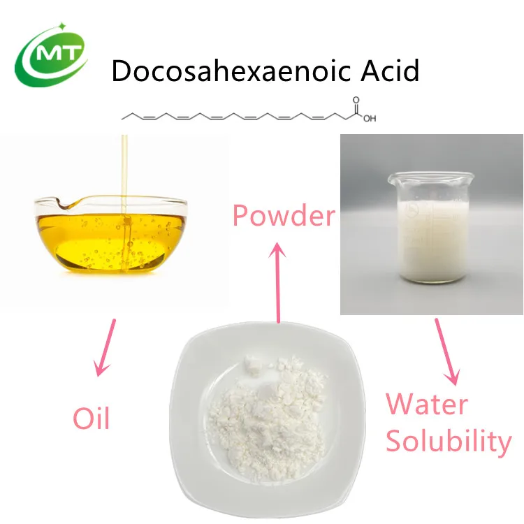 Natural Organic Schizochytrium Extract Docosahexaenoic Acid DHA Algae Oil Powder
