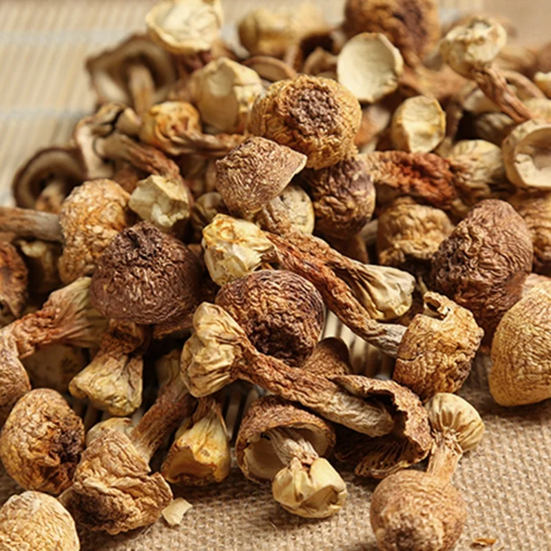 YINING Wholesale Natural Dried Agaricus Blazei High Quality magic mushroom