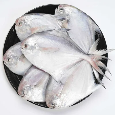 Pomfret IQF frozen Fish Product Frozen White Pomfret Farming frozen pomfret Wholesale seafood