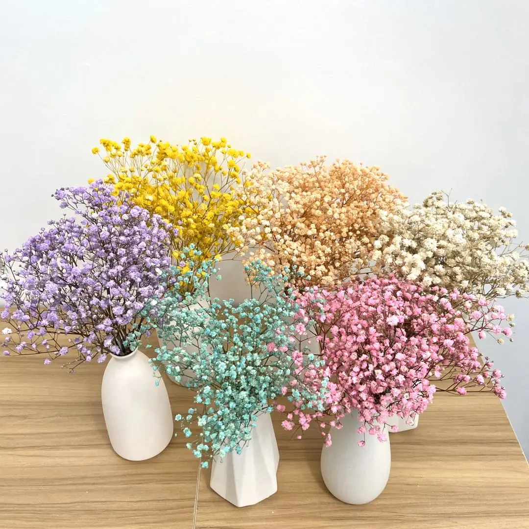 Gypsophila bouquet Preserved babys breath flowers white color dried flowers baby s breathe for wedding or house decoration