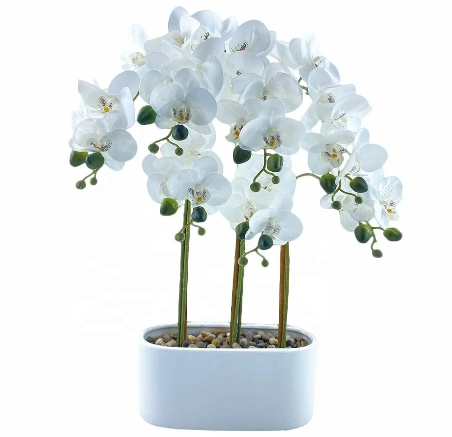 Artificial flower wall Wholesale Pure White Artificial Butterfly Orchid Flowers With Cement Pot Silk Phalaenopsis Flowers