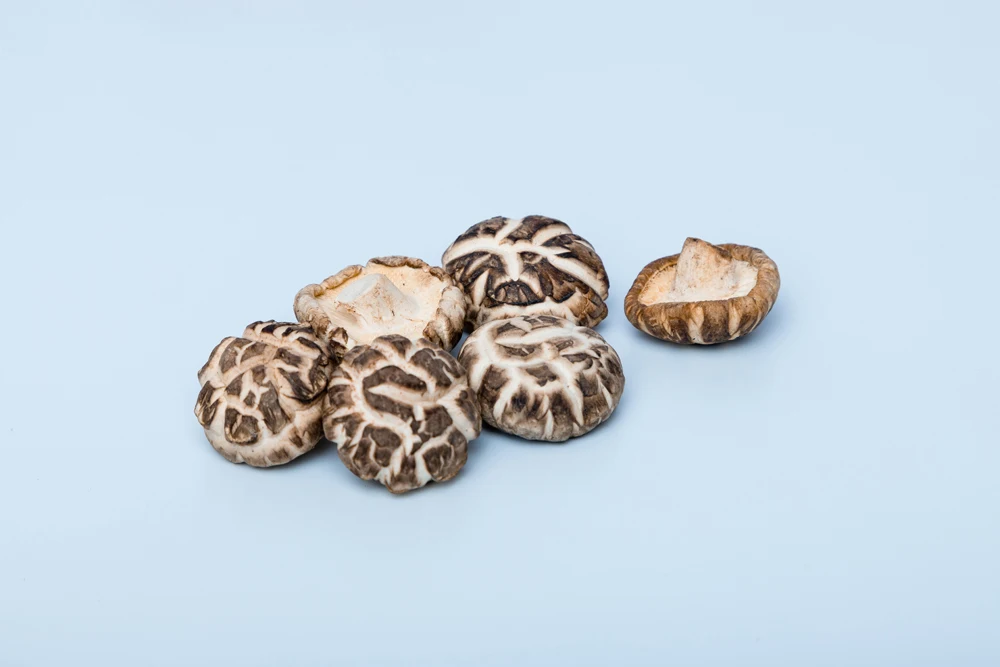 Dried mushroom dried shiitake mushroom export dry oyster mushroom